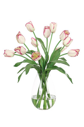 Purple Edge Tulips in a Teardrop Glass Vase