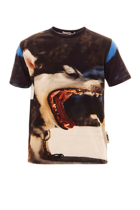 Animal Face Print T-Shirt