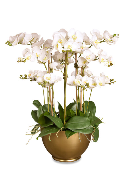 Bloomr Large Orchid Arrangement Home For Qar 1900 00 Bathroom Décor Accessories Bloomingdale S Uae - Bloomingdales Home Decor