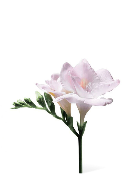 Si Eau de Parfum 