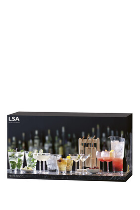Mixologist Cocktail Connoisseur Set